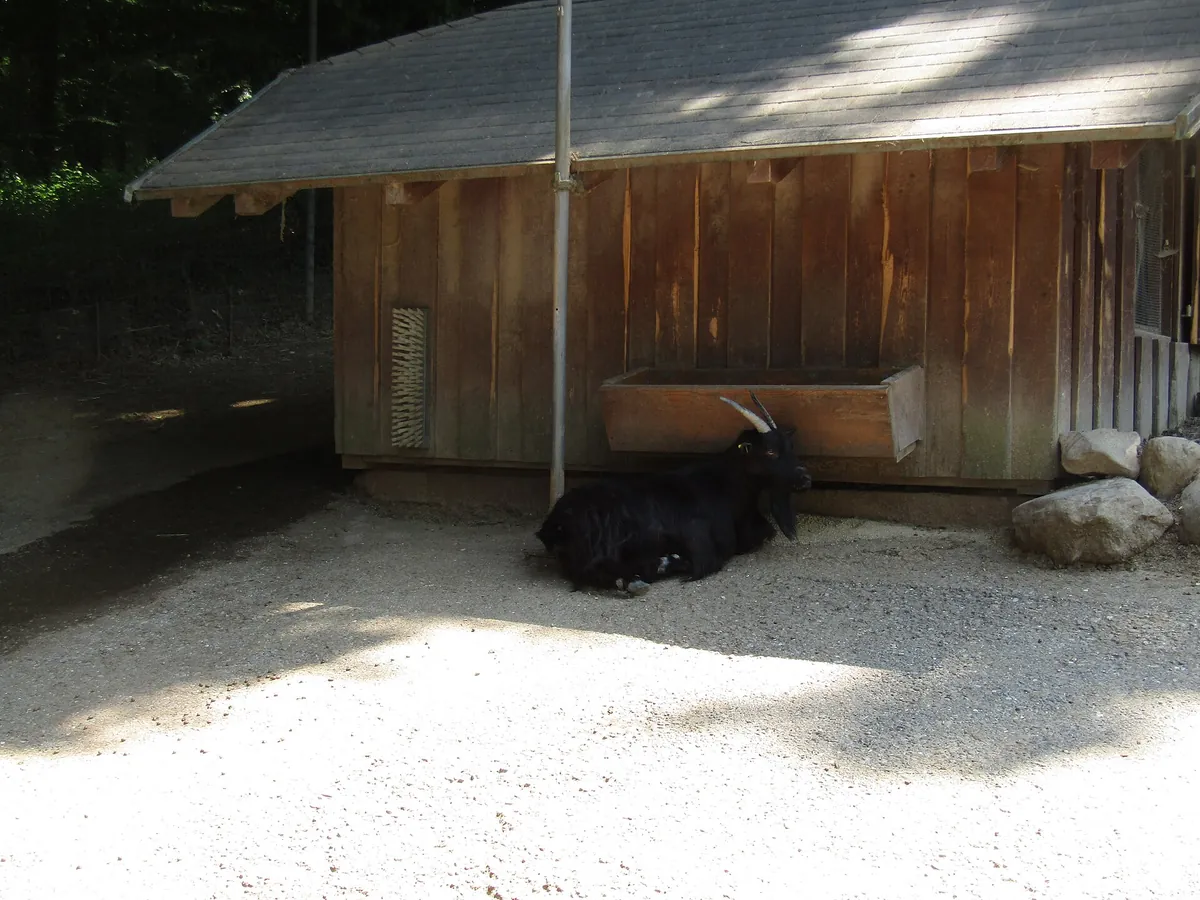 Wild- und Freizeitpark Allensbach