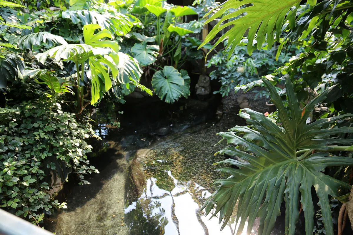 Buffalo Zoo
