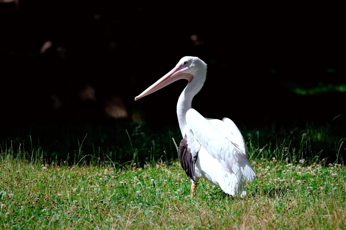 Milwaukee County Zoological Gardens