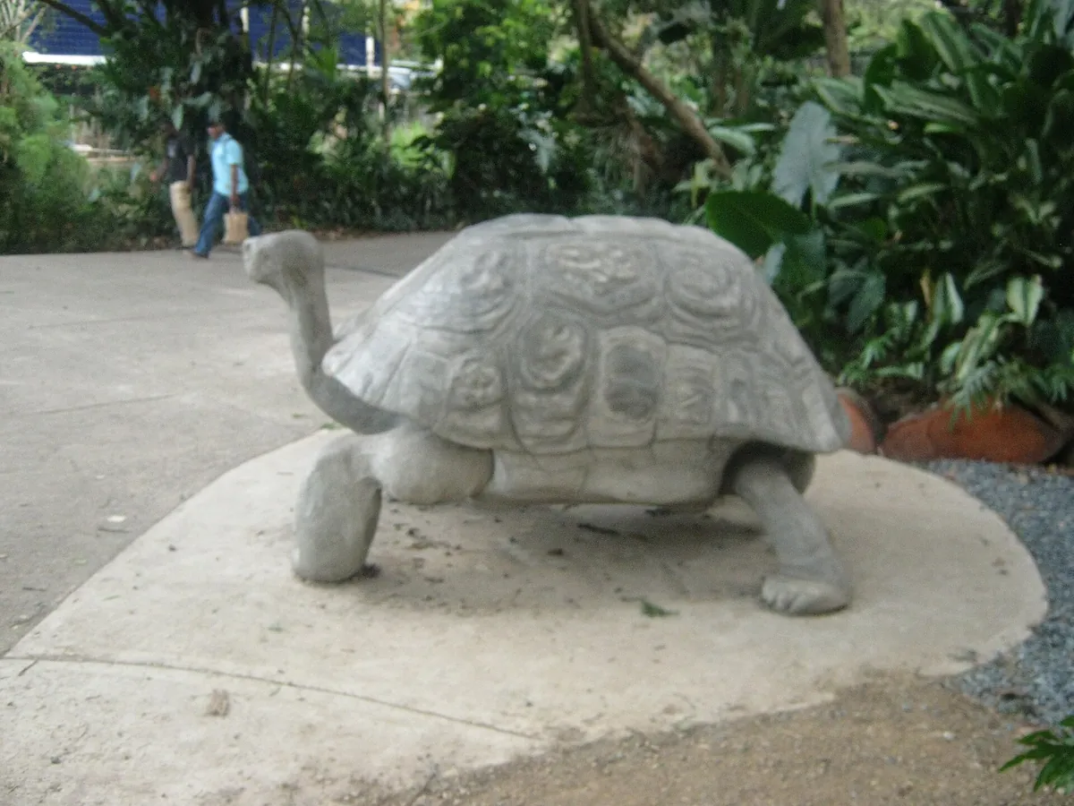 Zoológico de Cali