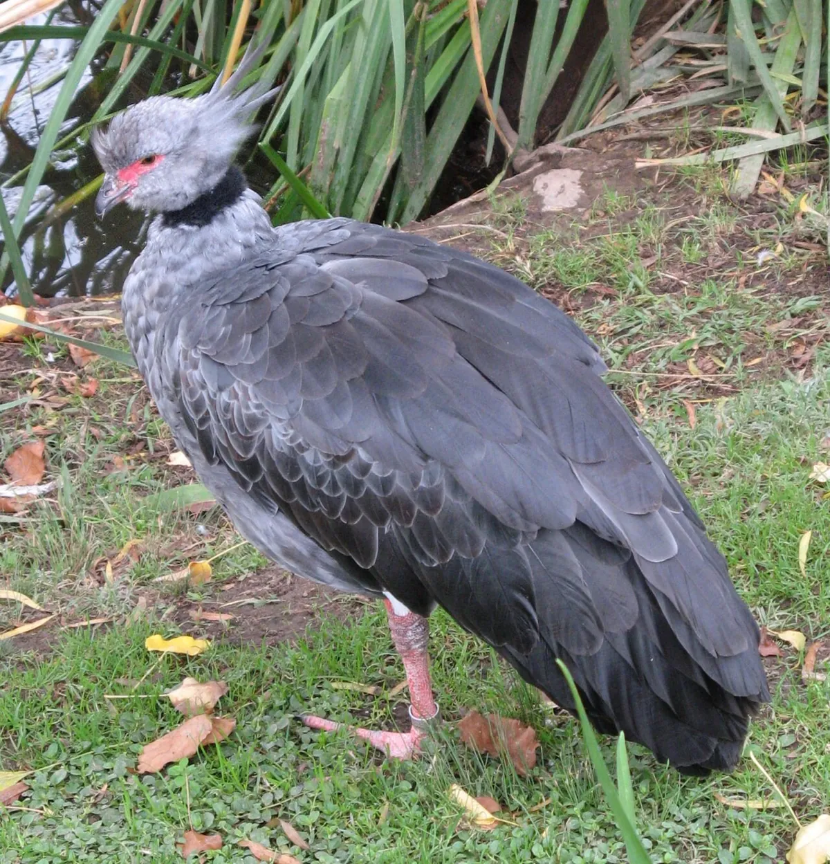 Sacramento Zoo