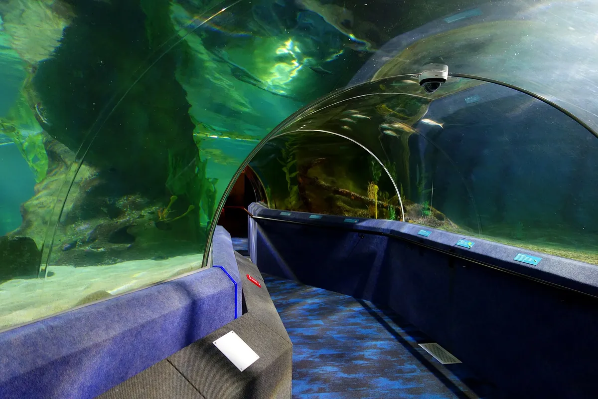 National Aquarium of New Zealand