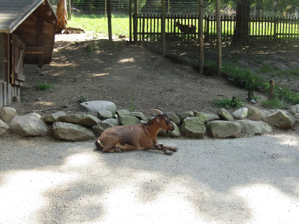 Wild- und Freizeitpark Allensbach