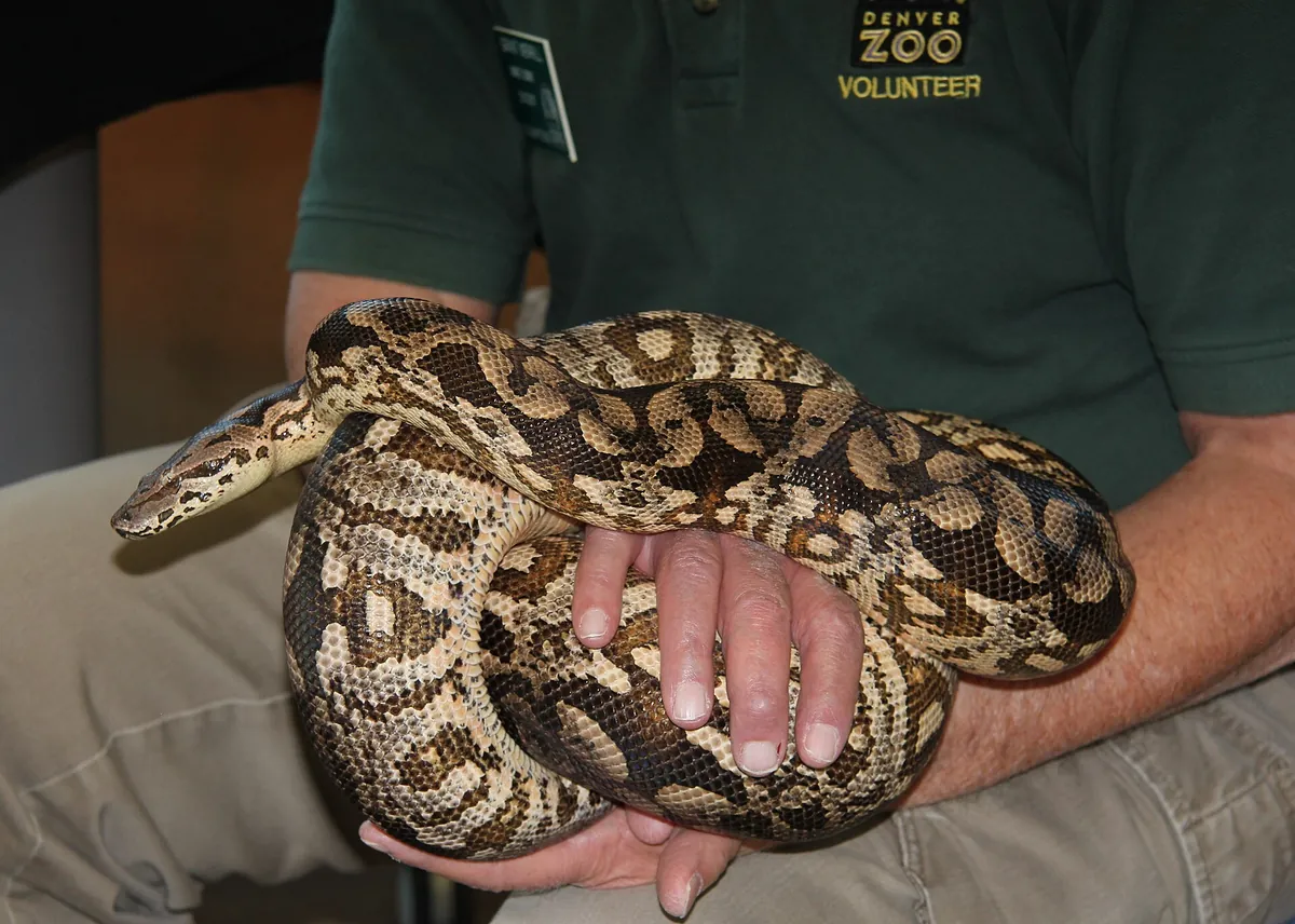 Denver Zoo