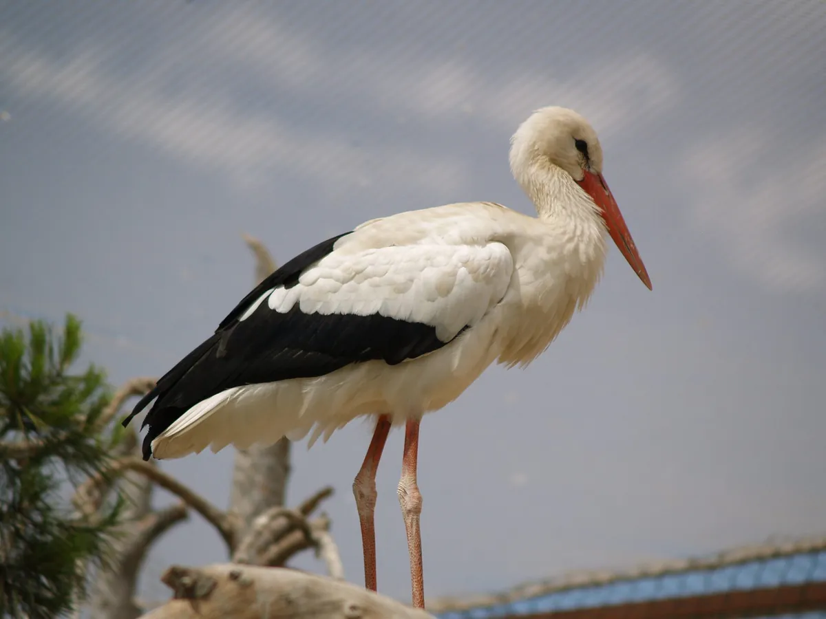 Terra Natura Murcia