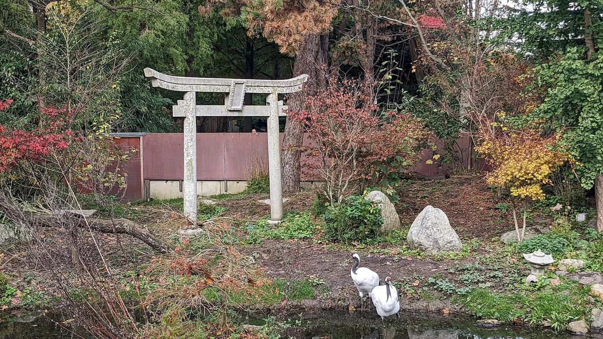 Vogelpark Avifauna