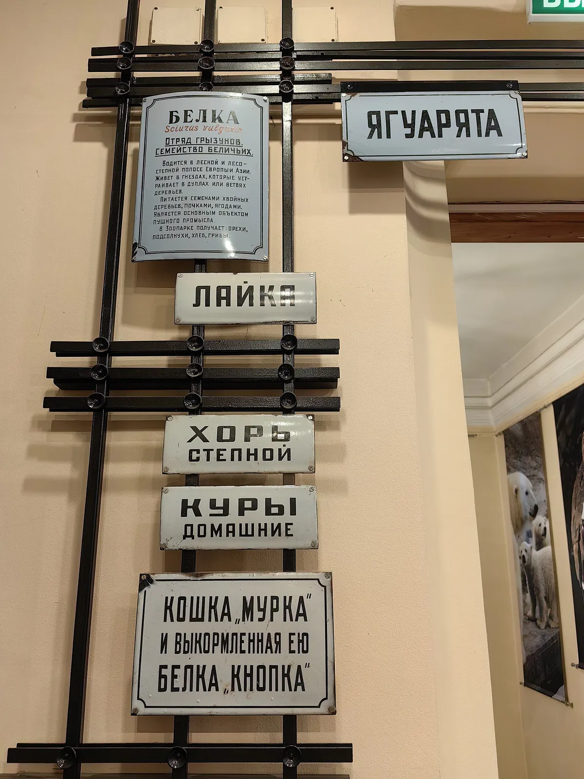 Московский зоопарк (Moscow Zoo)