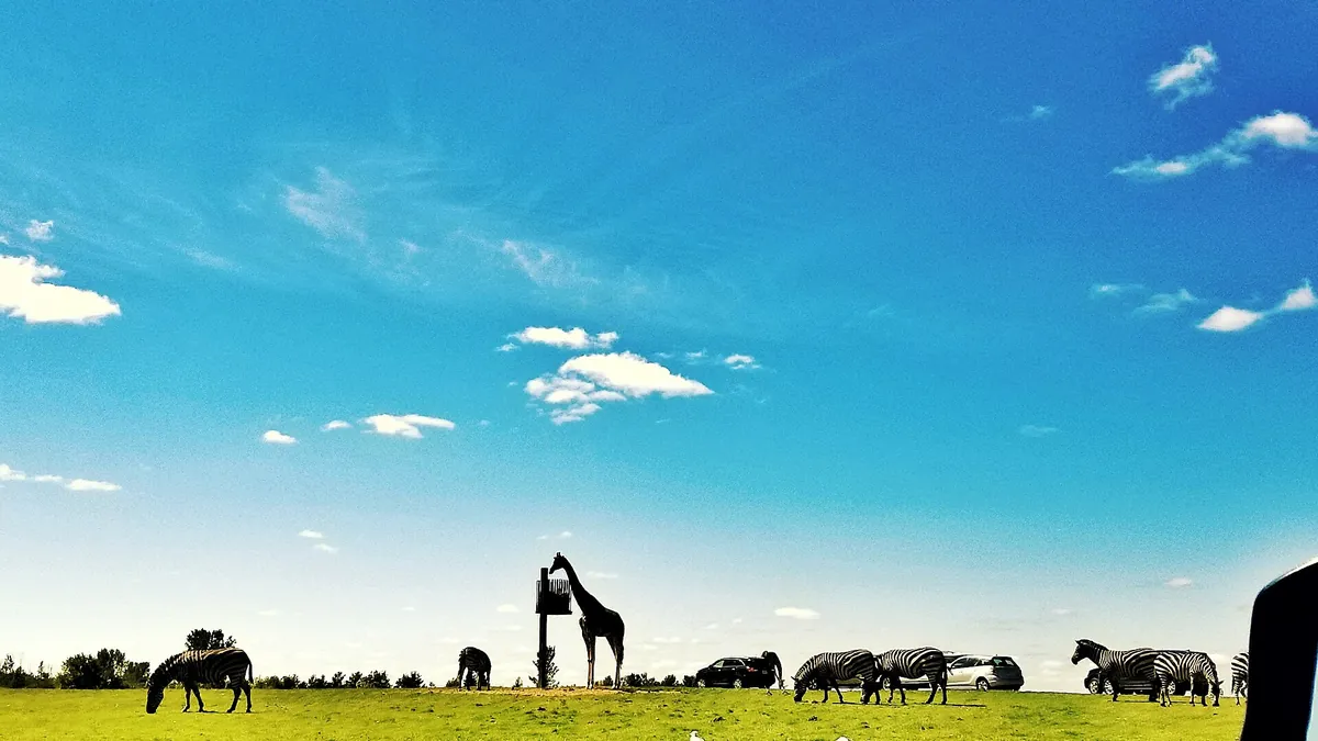 African Lion Safari