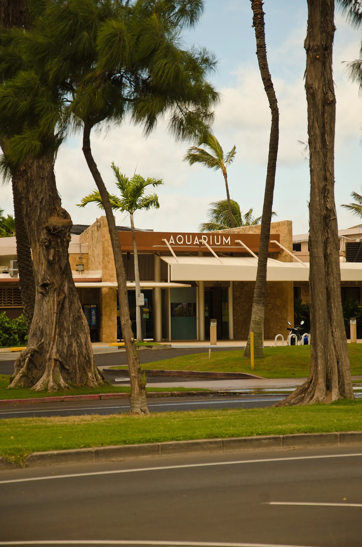 Waikiki Aquarium