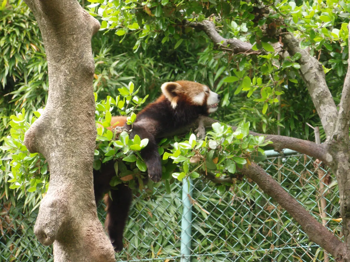 Nishiyama Zoo