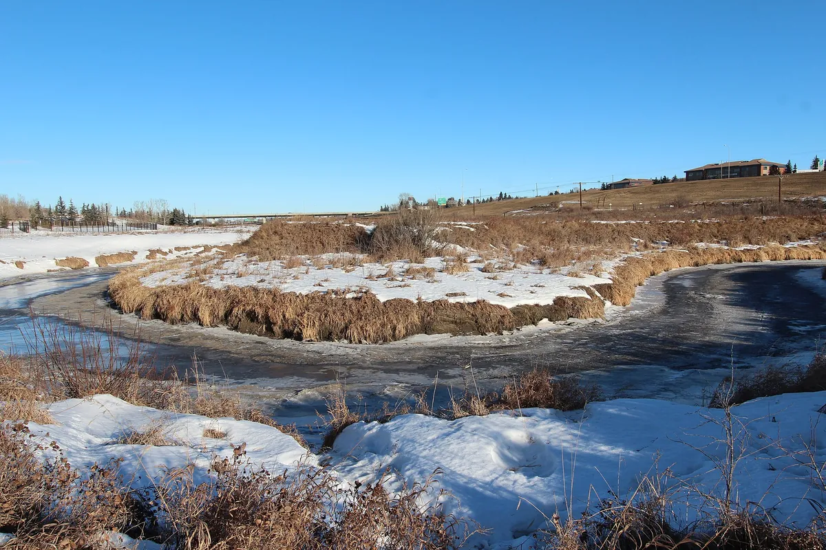 Wilder Institute/Calgary Zoo