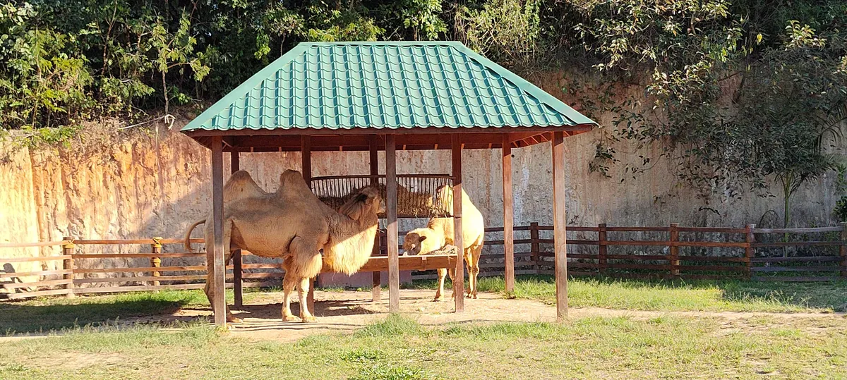 Animalia Reserva