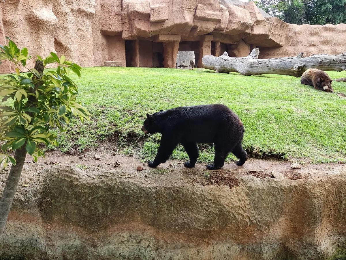 Zoológico Benito Juárez