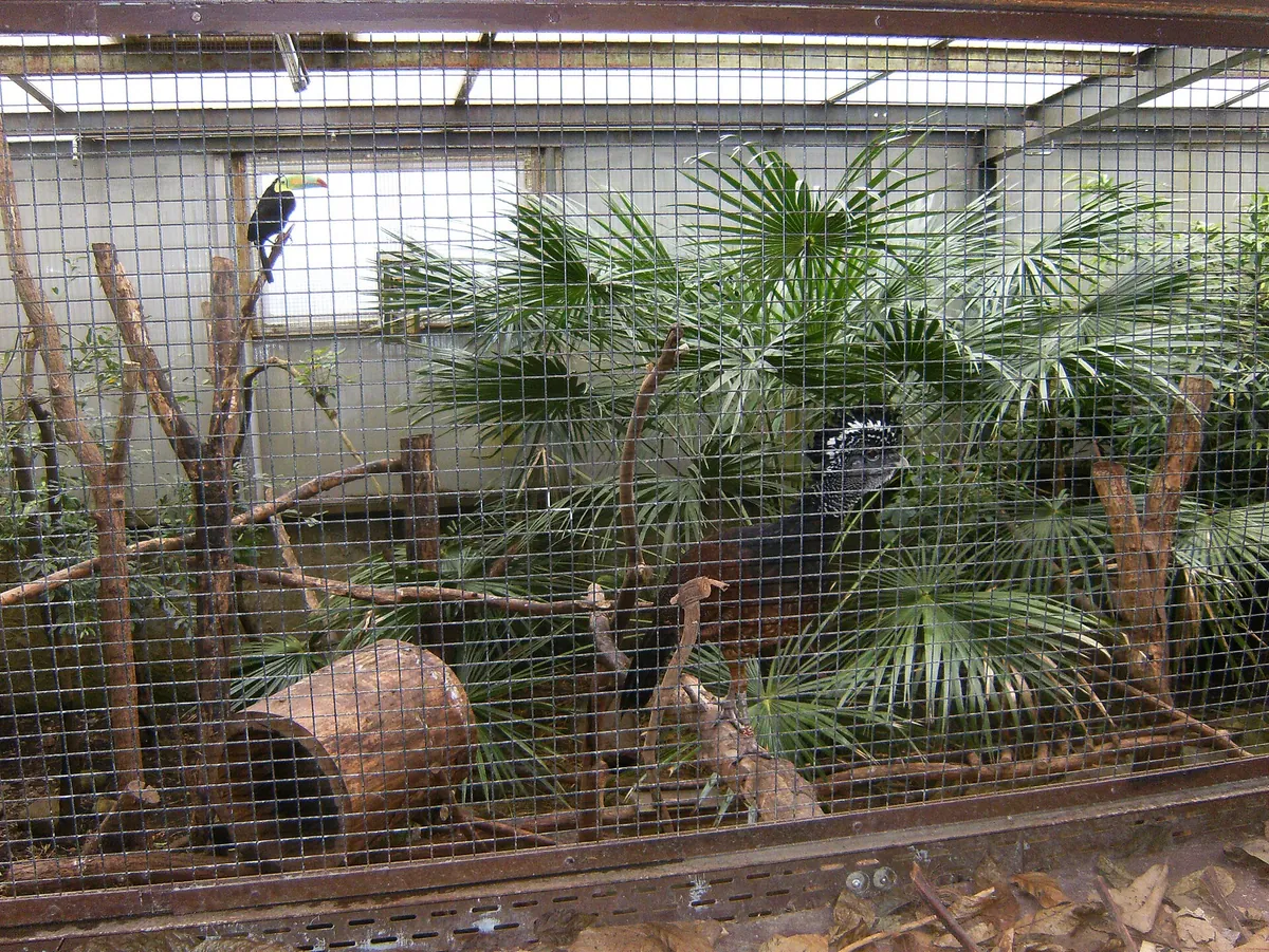 Papiliorama