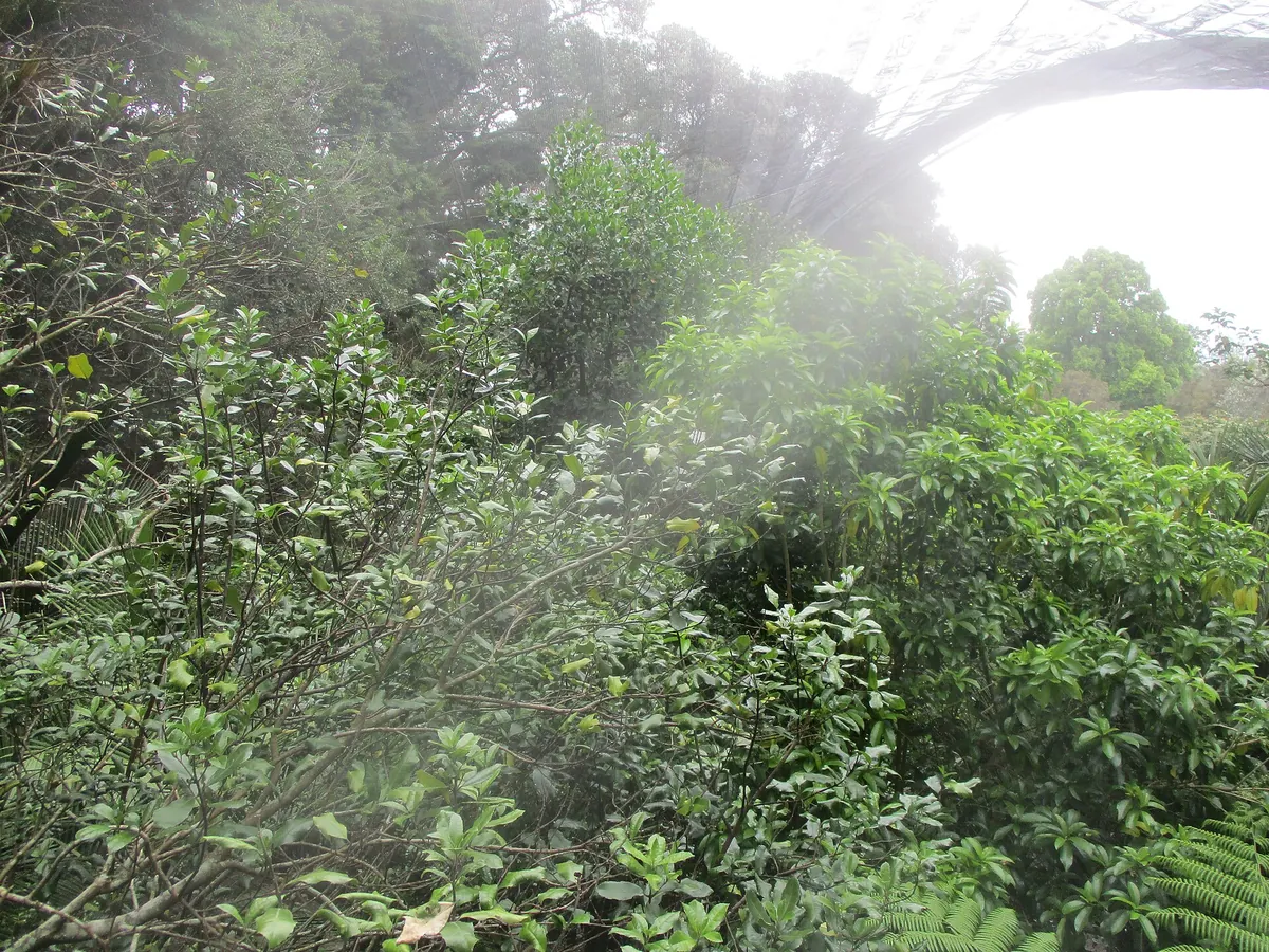Auckland Zoo