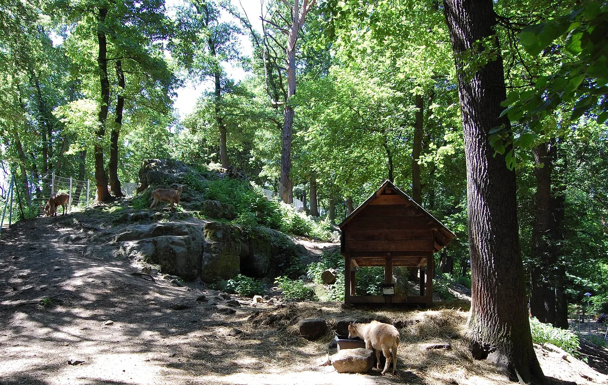 Tiergarten Halberstadt