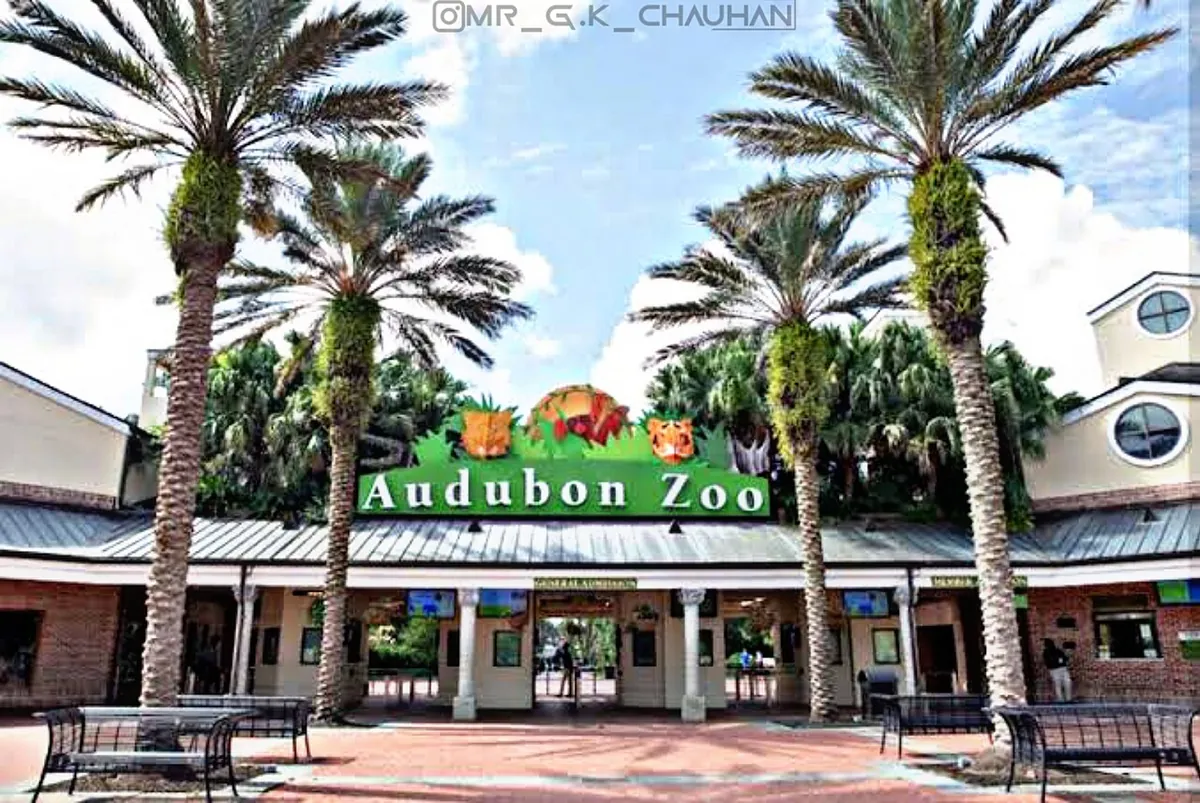 Audubon Zoo