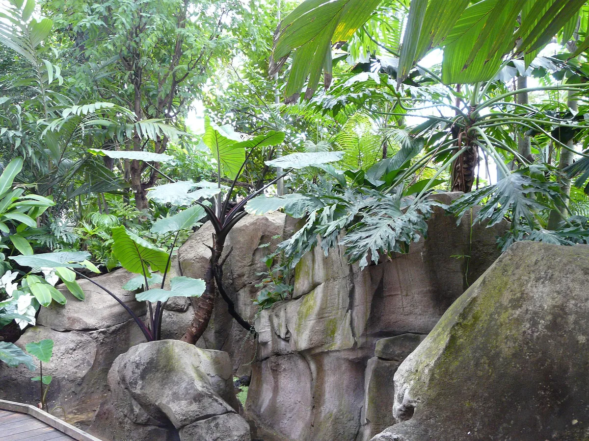 Parc zoologique de Montpellier