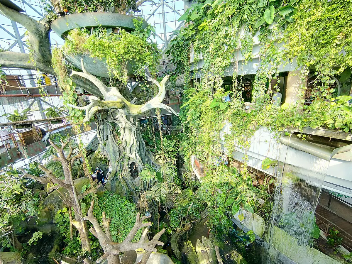 The Green Planet