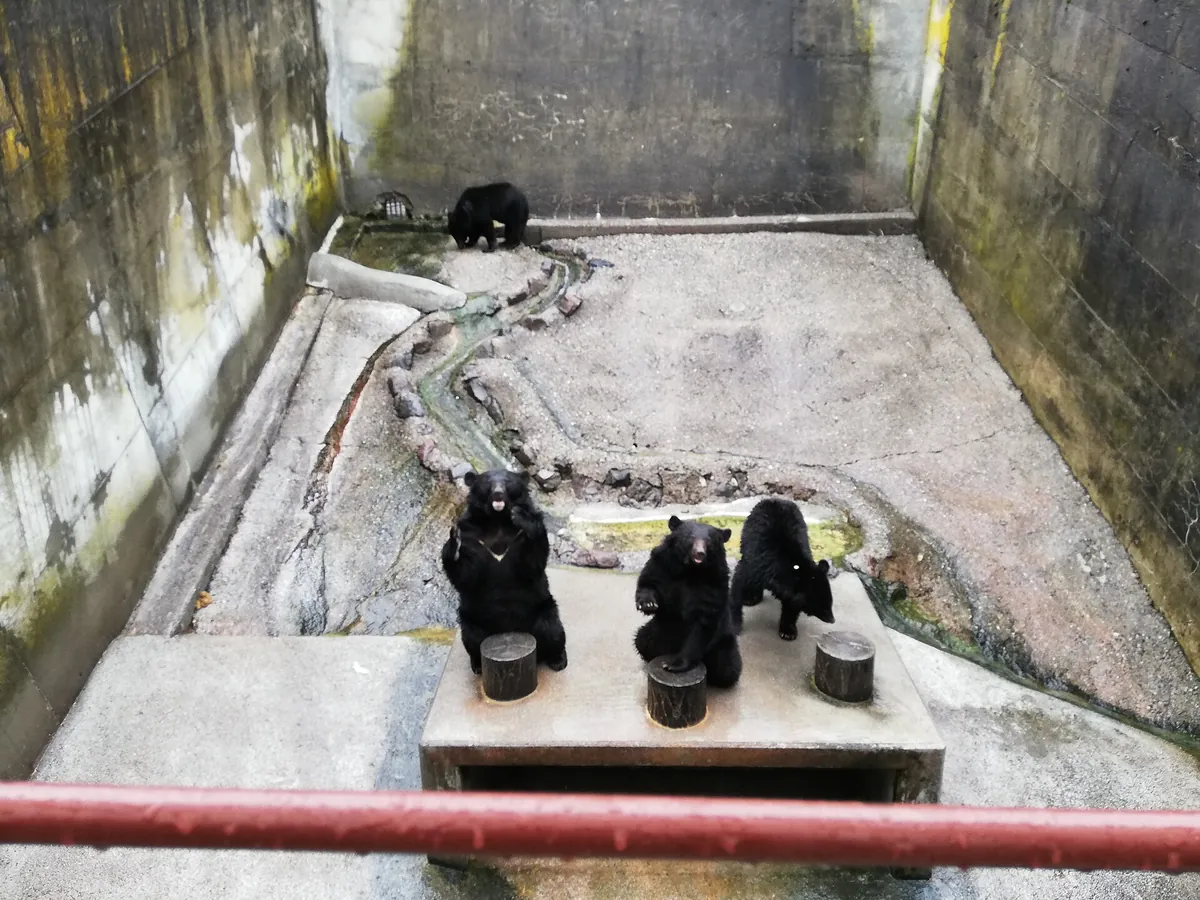 Okuhida Bear Park
