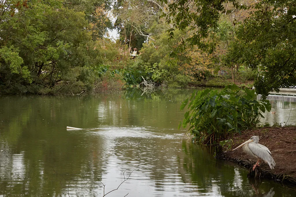Louisiana Purchase Gardens and Zoo