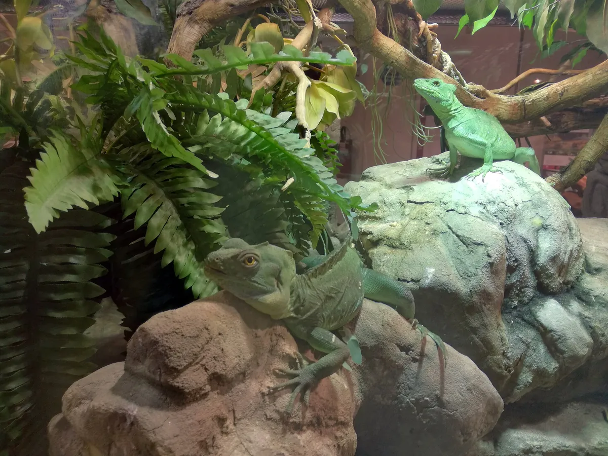 Aquarium of Cattolica