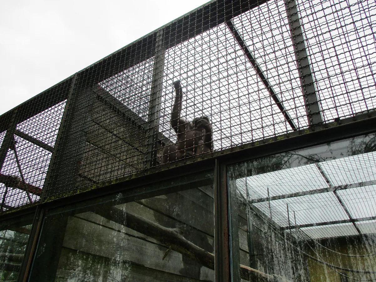 Osijek Zoo and Aquarium