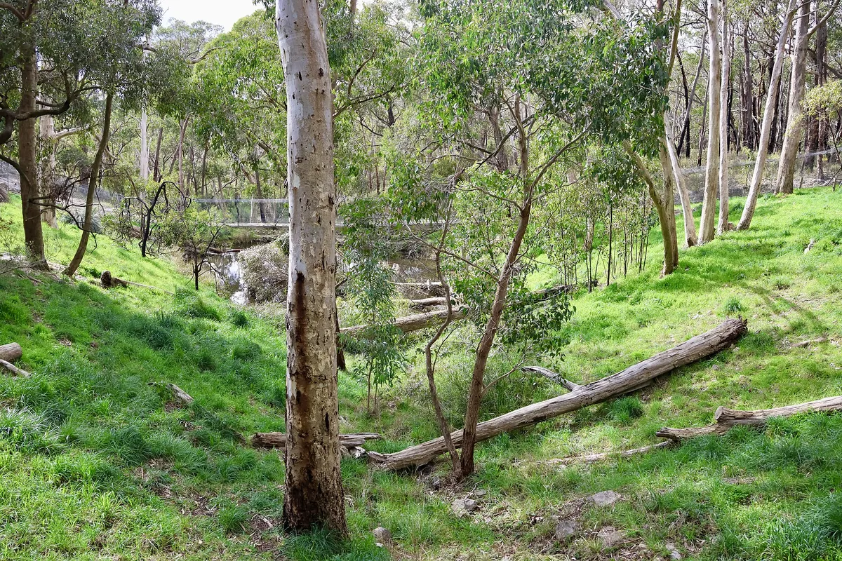 Cleland Wildlife Park
