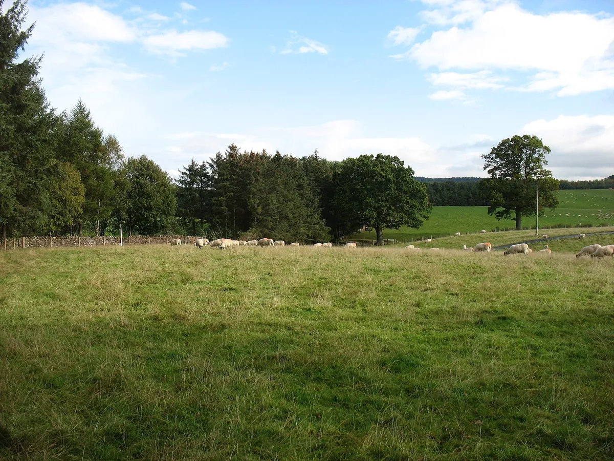 Wetheriggs Zoo and Animal Sanctuary
