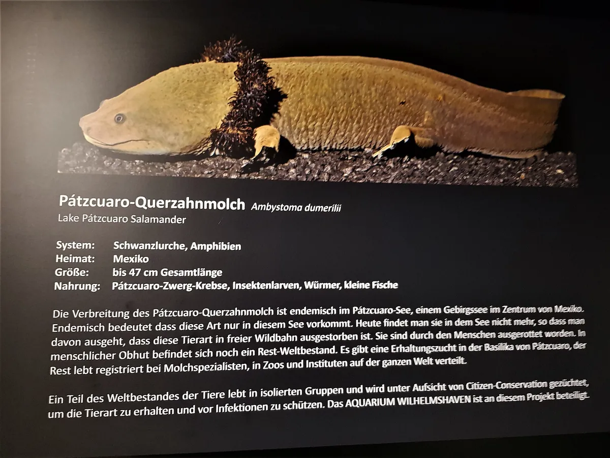 Aquarium Wilhelmshaven