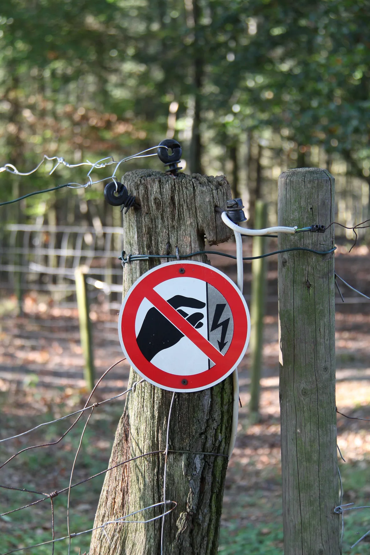 Wildpark Rolandseck