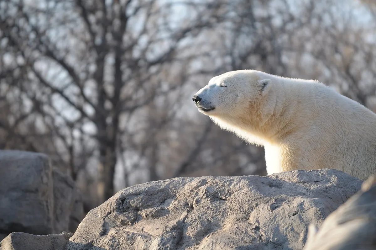 ABQ BioPark Zoo