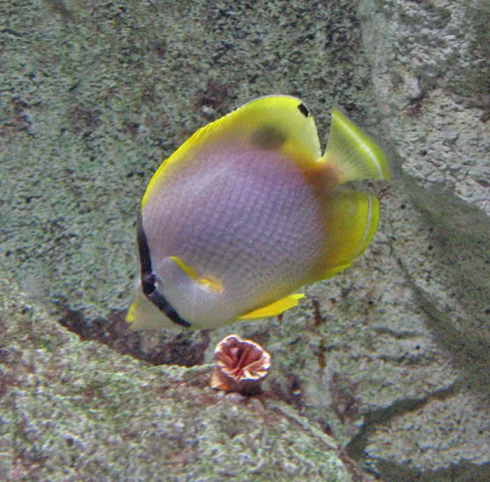 Maritime Aquarium at Norwalk