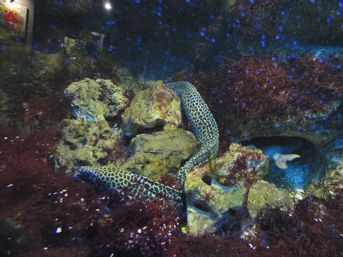 Aquarium du Limousin