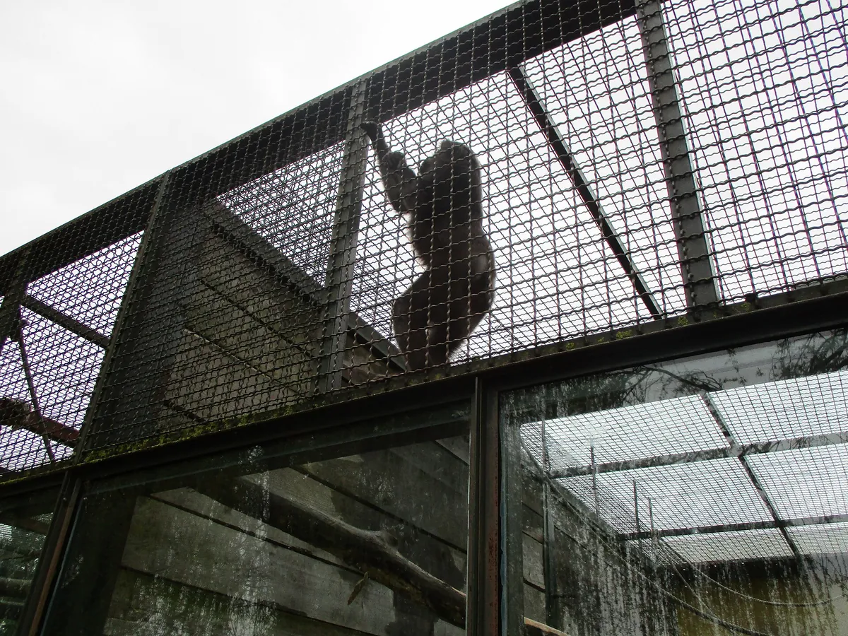 Osijek Zoo and Aquarium