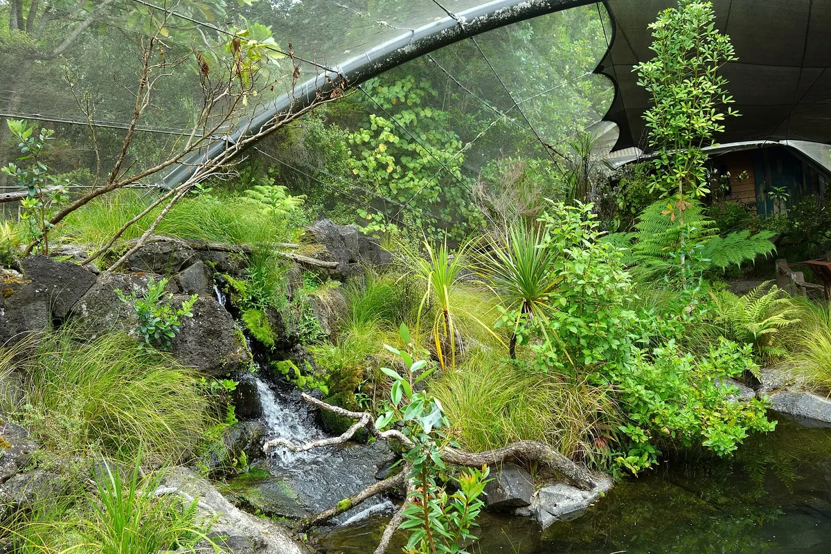 Auckland Zoo