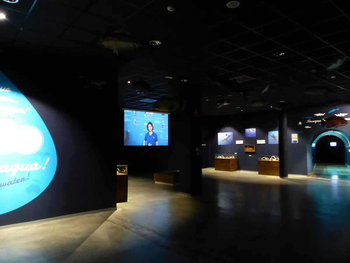 ACUARIO DE SEVILLA