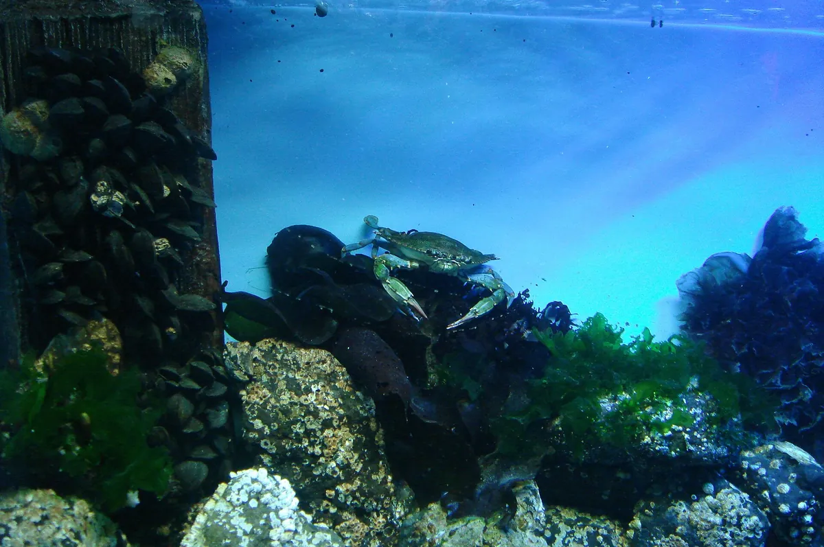 Oregon Coast Aquarium