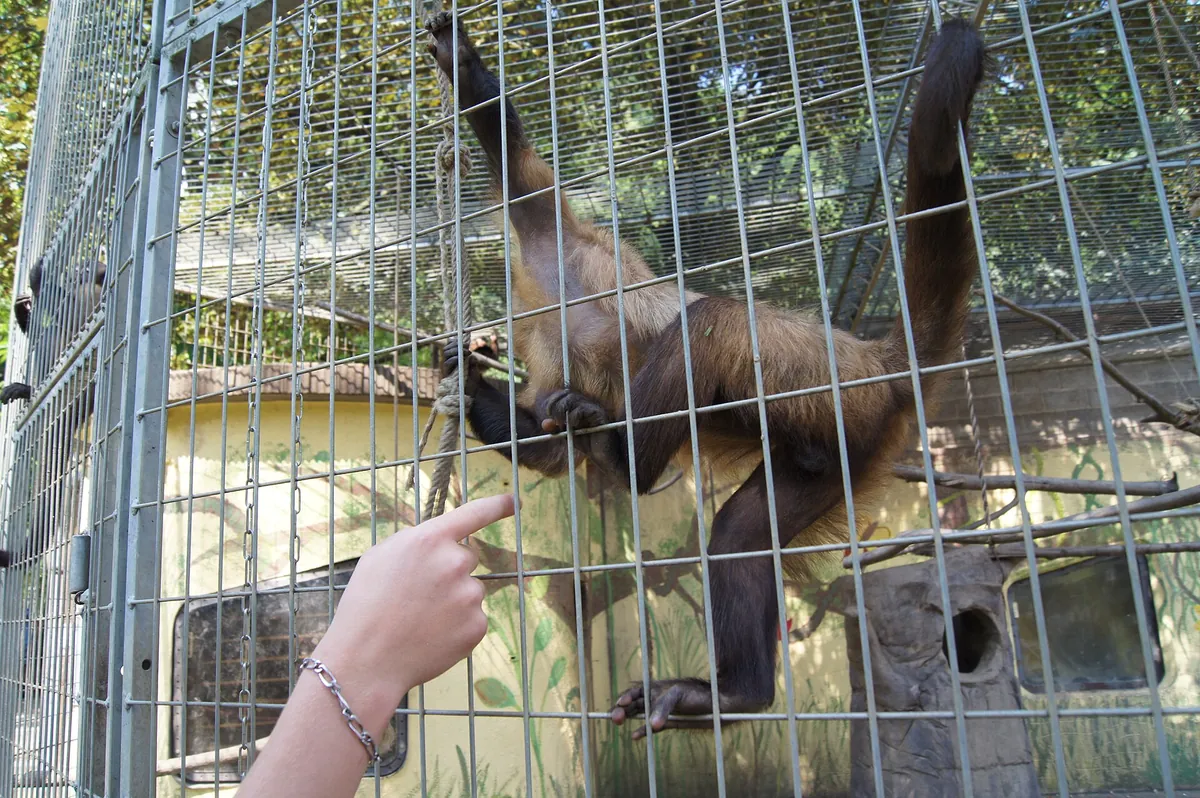 Zoo al Maglio