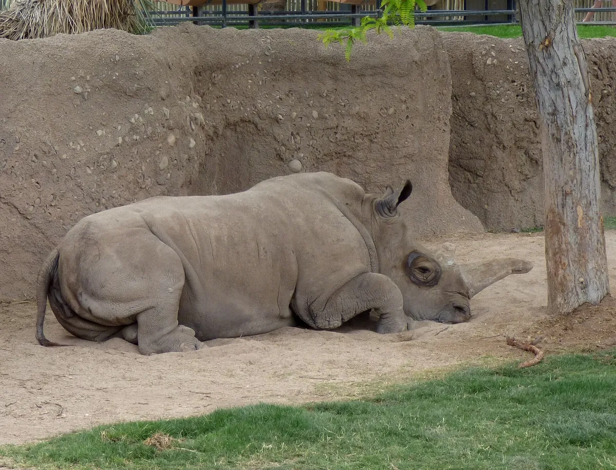 Reid Park Zoo