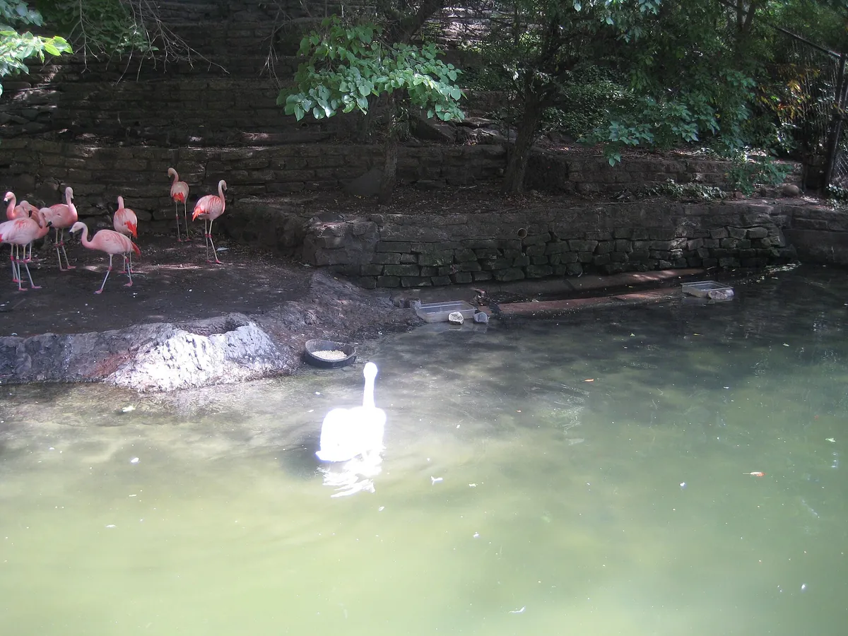 John Ball Zoo