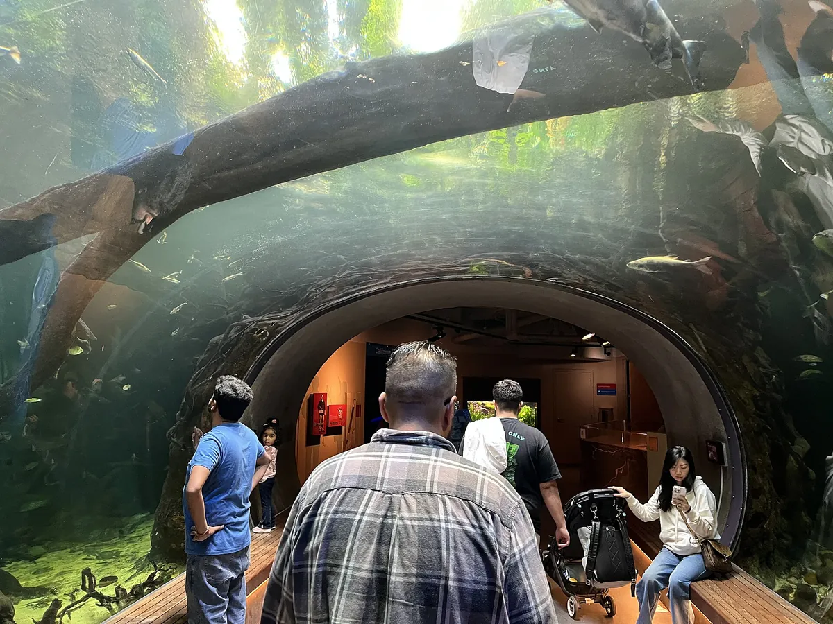 Steinhart Aquarium