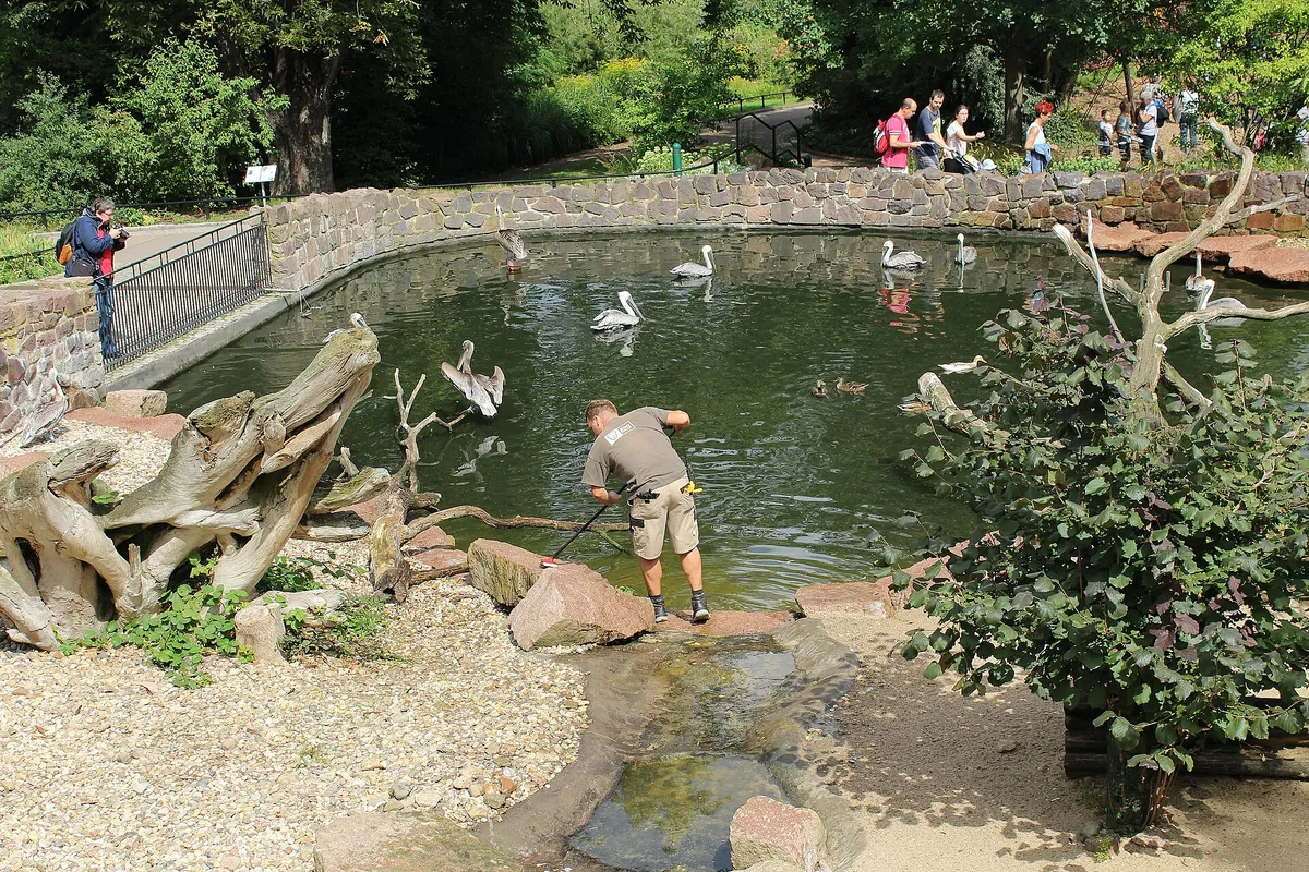 Zoologischer Garten Halle