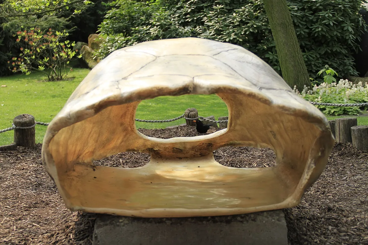 Antwerp Zoo