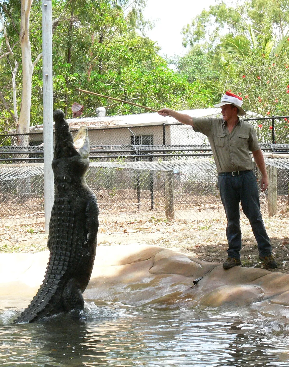 Billabong Sanctuary