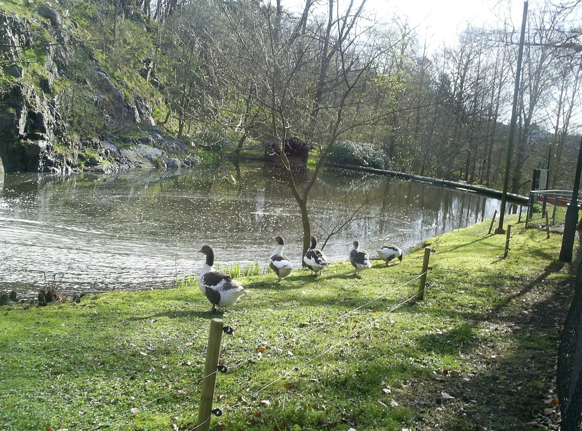 Slottsskogens Djurpark