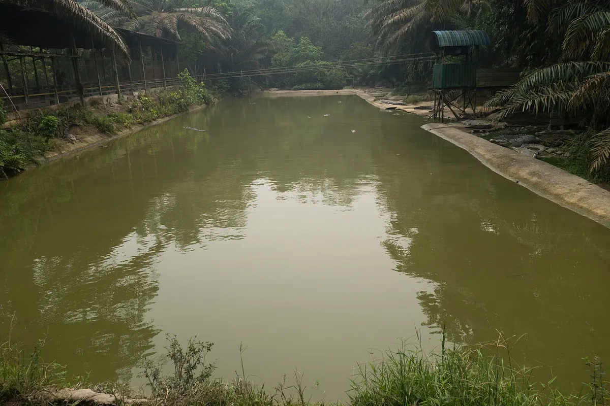 Jong's Crocodile Farm and Zoo