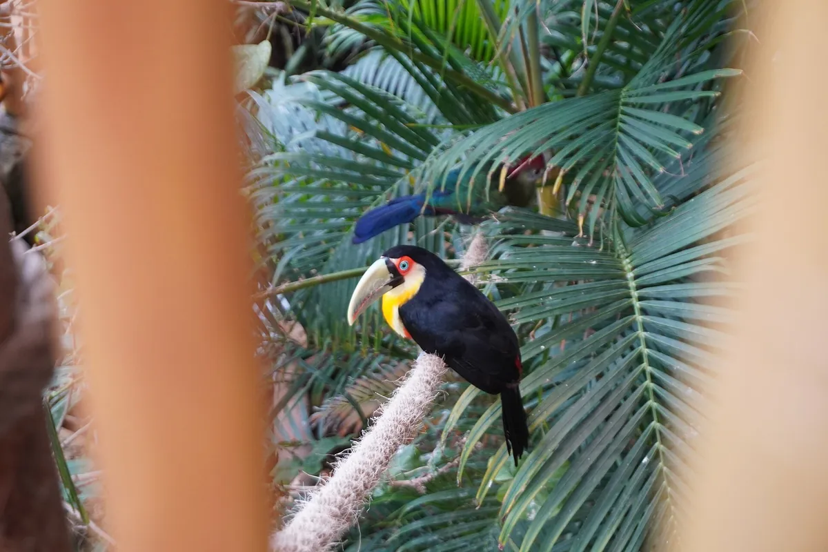 SeaWorld Abu Dhabi