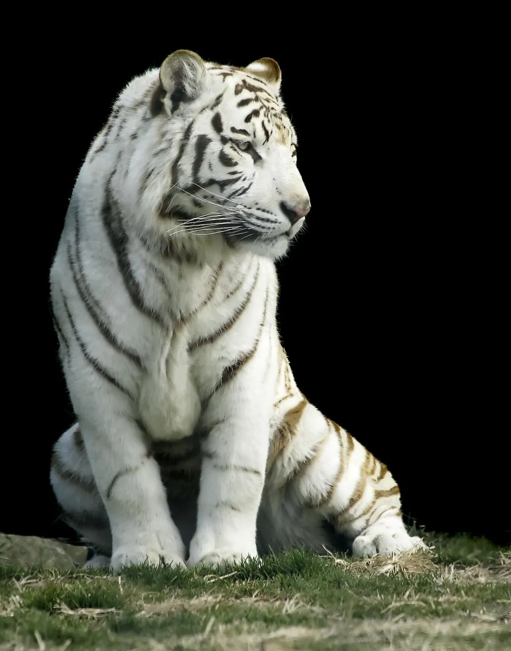 Gunma Safari Park
