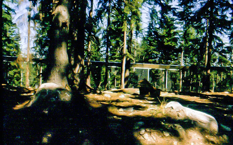 Kolmårdens Djurpark